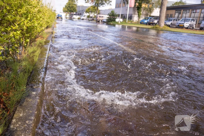 Waterpret na gesprongen waterleiding