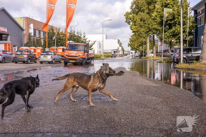 Waterpret na gesprongen waterleiding