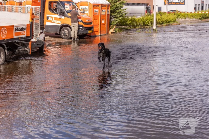 Waterpret na gesprongen waterleiding