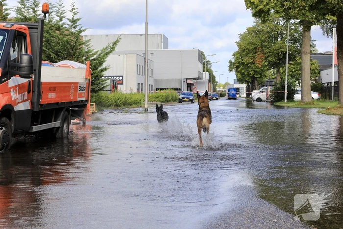 Waterpret na gesprongen waterleiding
