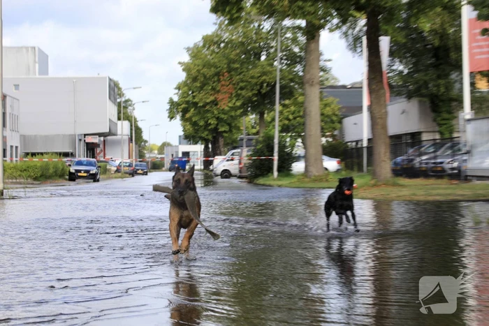 Waterpret na gesprongen waterleiding