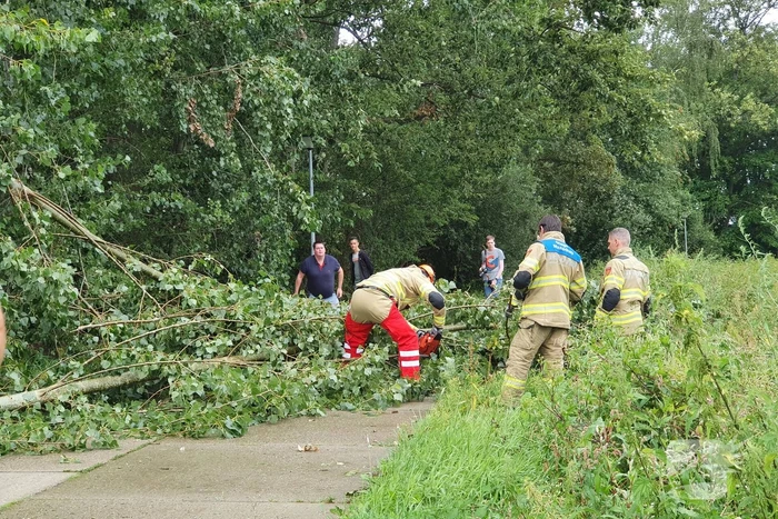 Afgebroken boom verspert fietspad