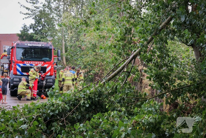 Afgebroken boom verspert fietspad