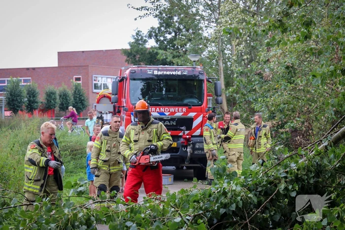 Afgebroken boom verspert fietspad