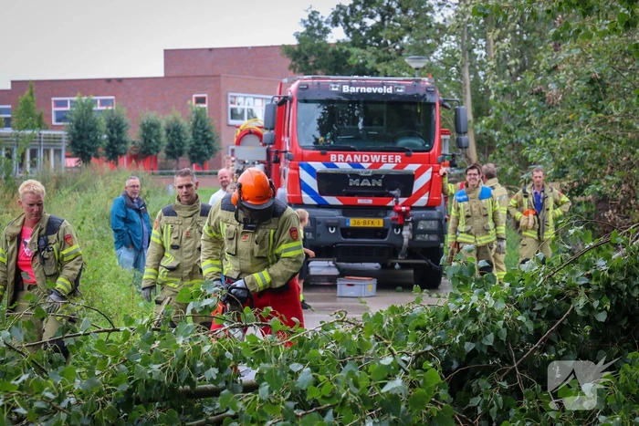 Afgebroken boom verspert fietspad