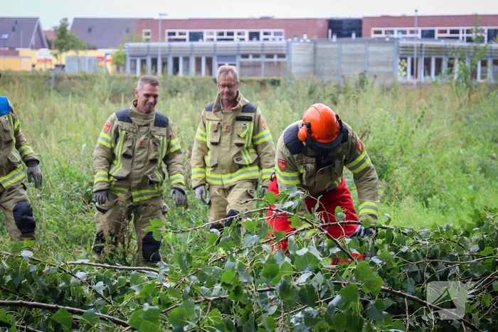Afgebroken boom verspert fietspad
