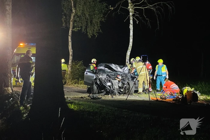 Bestuurder zwaargewond na crash tegen boom