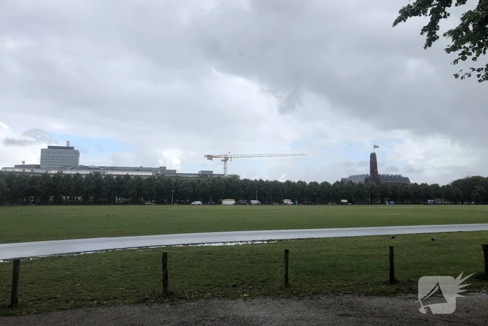 nieuws koekamplaan den haag