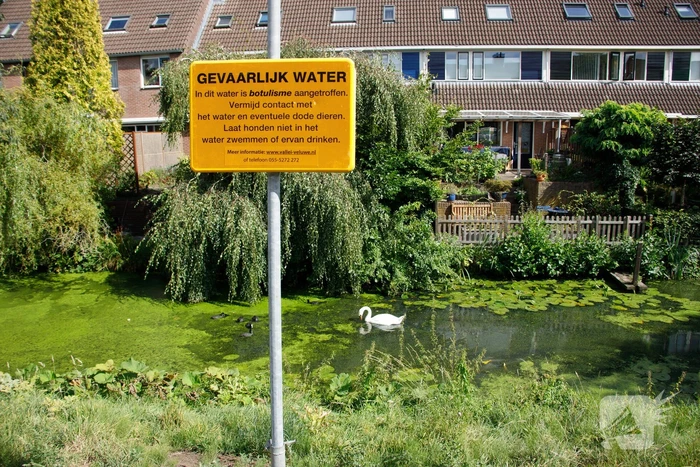 Botulisme aangetroffen in vijvers in Schothorst