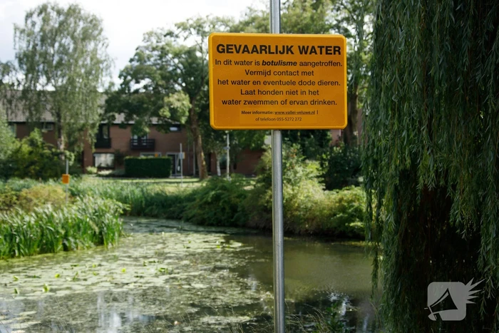 Botulisme aangetroffen in vijvers in Schothorst