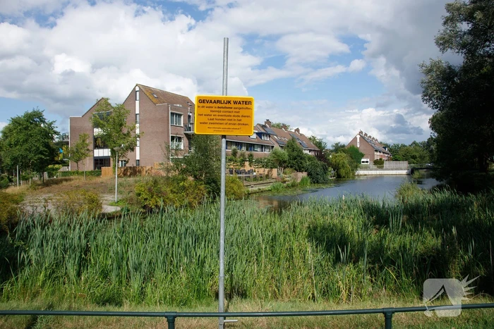 Botulisme aangetroffen in vijvers in Schothorst
