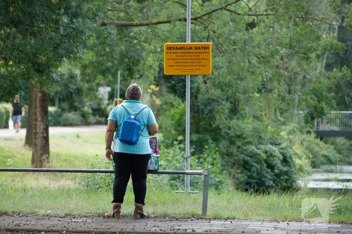 Botulisme aangetroffen in vijvers in Schothorst