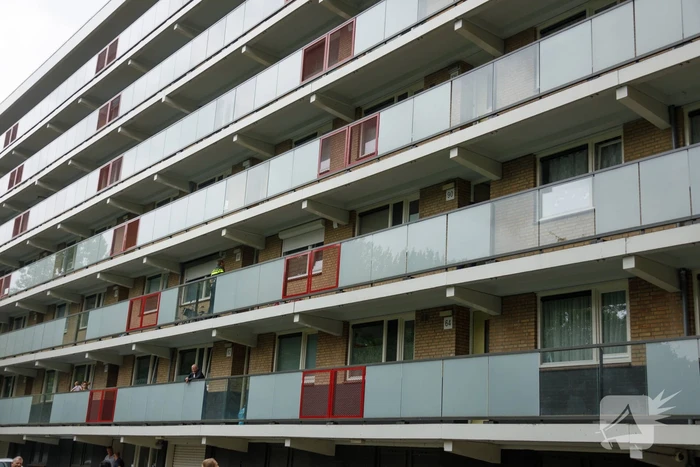Hennepkwekerij aangetroffen in flatwoning