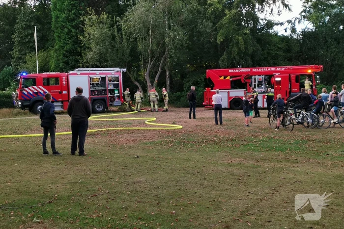 Hoge boom vliegt in brand