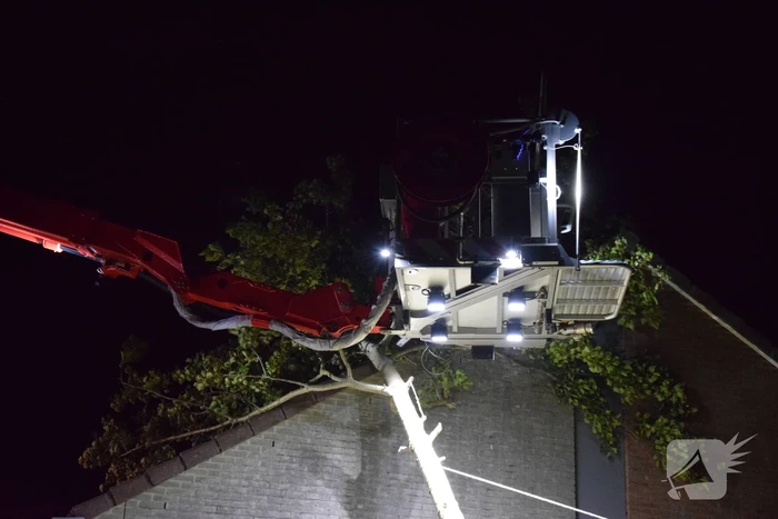 Boom waait om tegen woning
