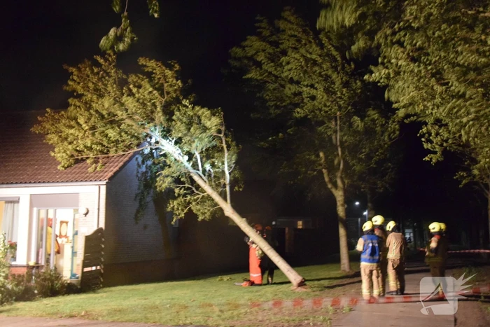 Boom waait om tegen woning