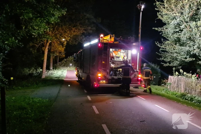 Boom valt op rijbaan