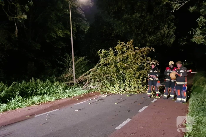 Boom valt op rijbaan
