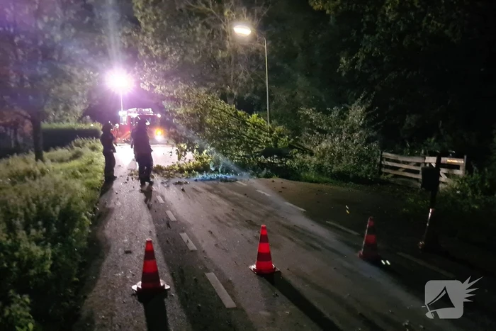 Boom valt op rijbaan