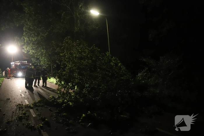 Boom valt op rijbaan
