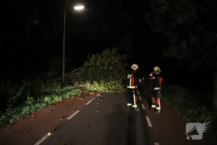 Boom valt op rijbaan
