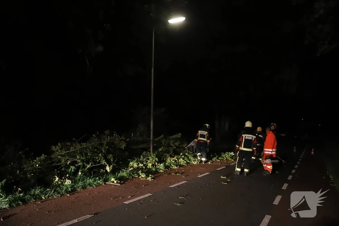 Boom valt op rijbaan