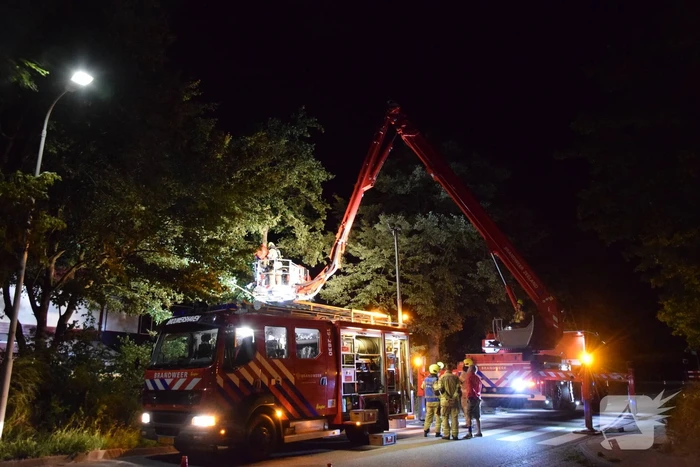 Boom valt op aanbouw van woning