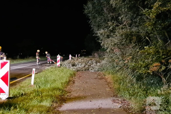 Boom waait omver en verspert de weg