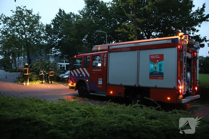 Grote tak breekt af belandt tussen twee auto's