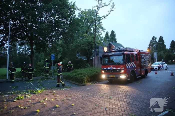 Grote tak breekt af belandt tussen twee auto's