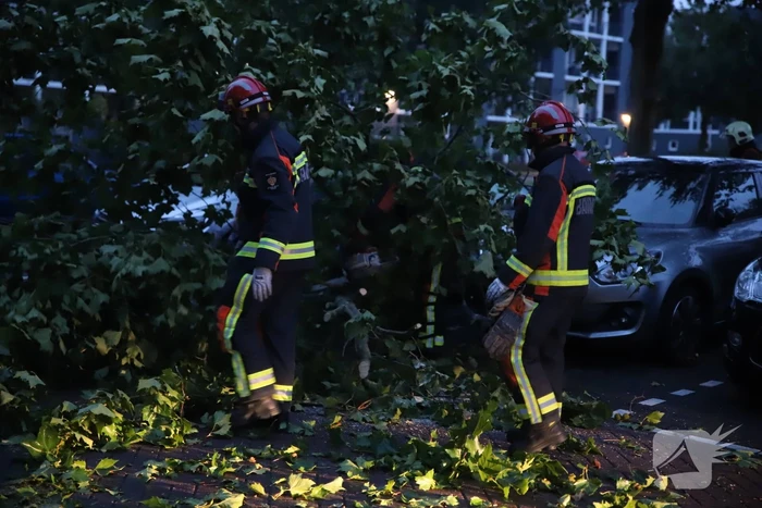 Grote tak breekt af belandt tussen twee auto's
