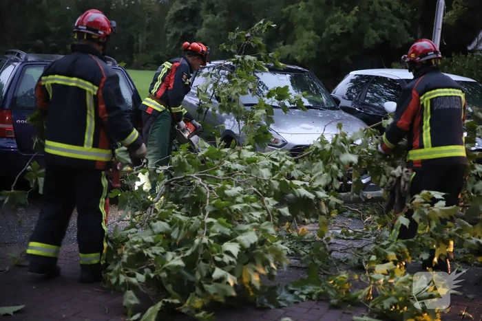 Grote tak breekt af belandt tussen twee auto's