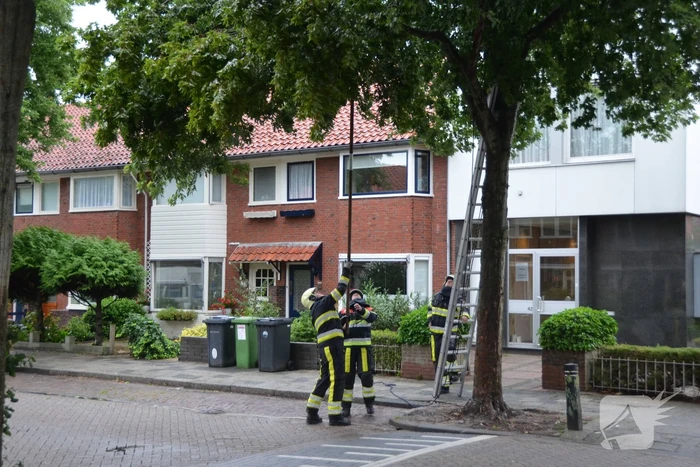 Gevaarlijke hangende takken uit boom gehaald