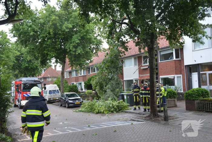 Gevaarlijke hangende takken uit boom gehaald