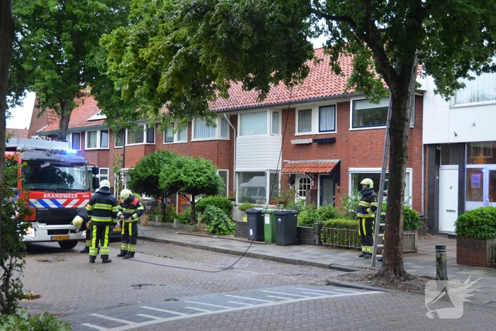 Gevaarlijke hangende takken uit boom gehaald