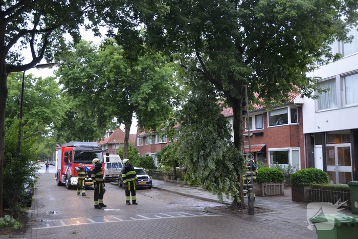 Gevaarlijke hangende takken uit boom gehaald
