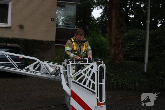 Loshangende takken verwijderd voor ingang