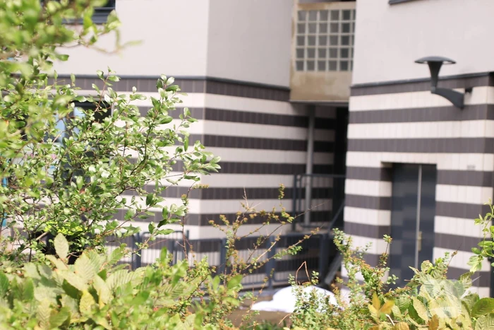 Overleden persoon voor appartementencomplex aangetroffen