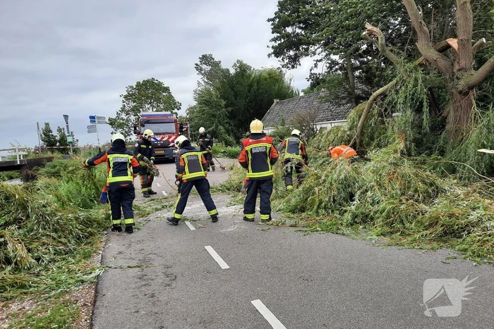 Storm Francis vernielt grote boom