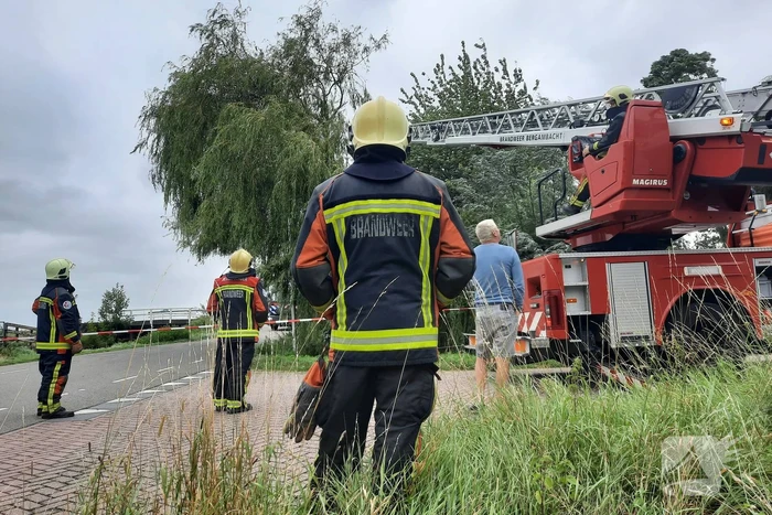 Storm Francis vernielt grote boom