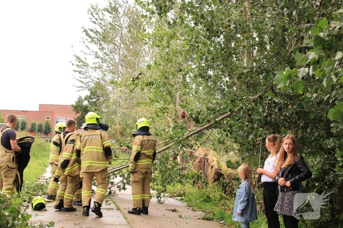 natuur nederwoudseweg barneveld