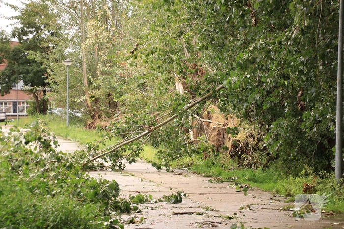 Storm Francis zorgt opnieuw voor omgewaaide takken en bomen
