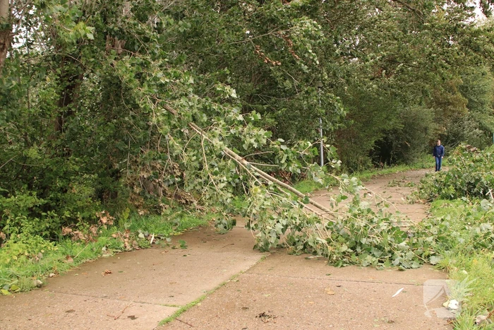 Storm Francis zorgt opnieuw voor omgewaaide takken en bomen
