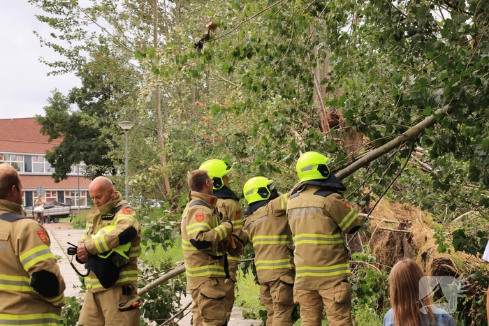 Storm Francis zorgt opnieuw voor omgewaaide takken en bomen