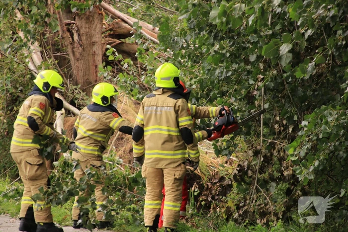 Storm Francis zorgt opnieuw voor omgewaaide takken en bomen
