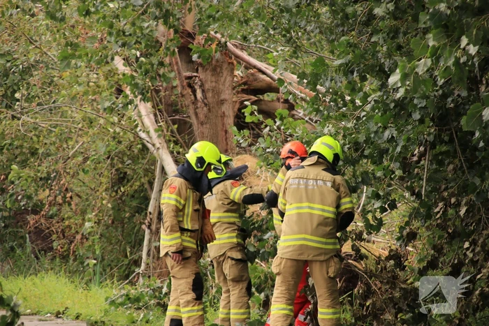 Storm Francis zorgt opnieuw voor omgewaaide takken en bomen