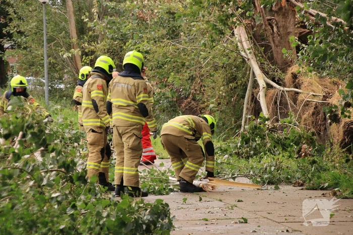 Storm Francis zorgt opnieuw voor omgewaaide takken en bomen