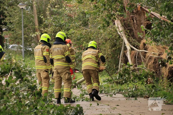 Storm Francis zorgt opnieuw voor omgewaaide takken en bomen
