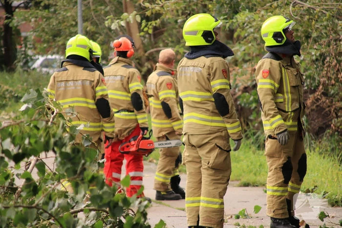 Storm Francis zorgt opnieuw voor omgewaaide takken en bomen