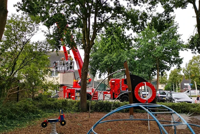 natuur d'hondecoeterstraat ede